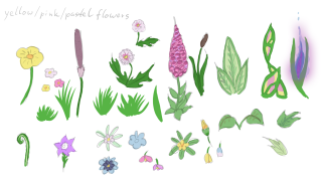 flora_temperate_concept_flowersandcolors